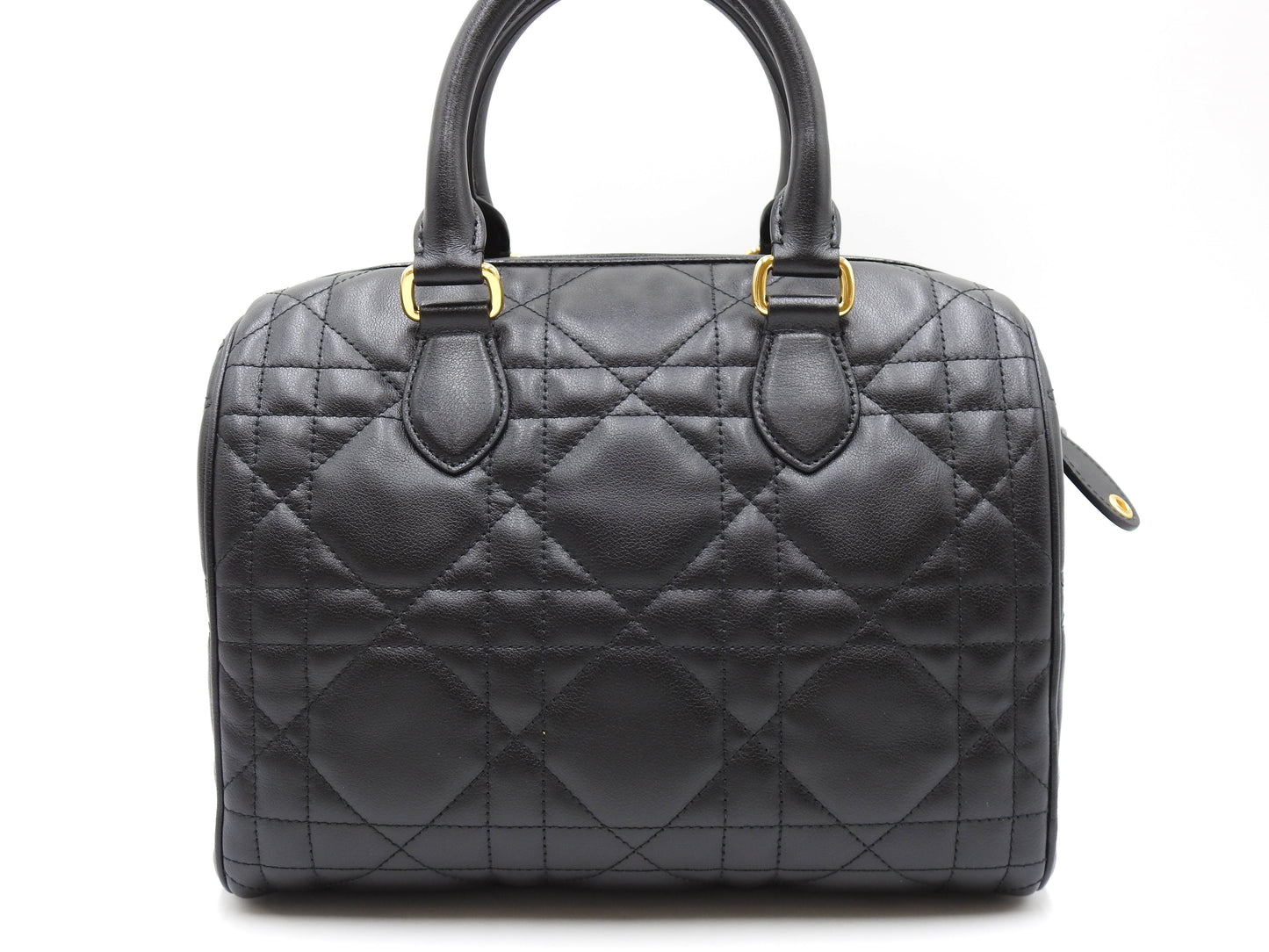 Christian Dior Canage Grove 25 Shoulder Hand Bag Lambskin Black M1365UBOL
