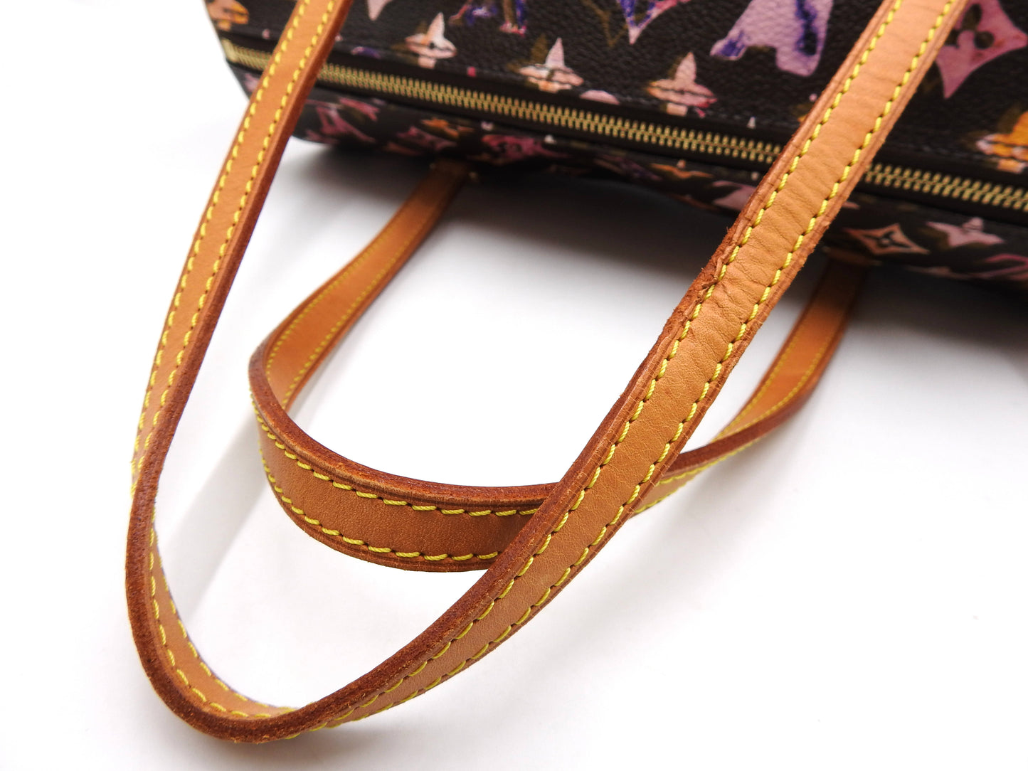 LOUIS VUITTON Papillon 30 Shoulder Hand Bag Monogram Water Color M95753