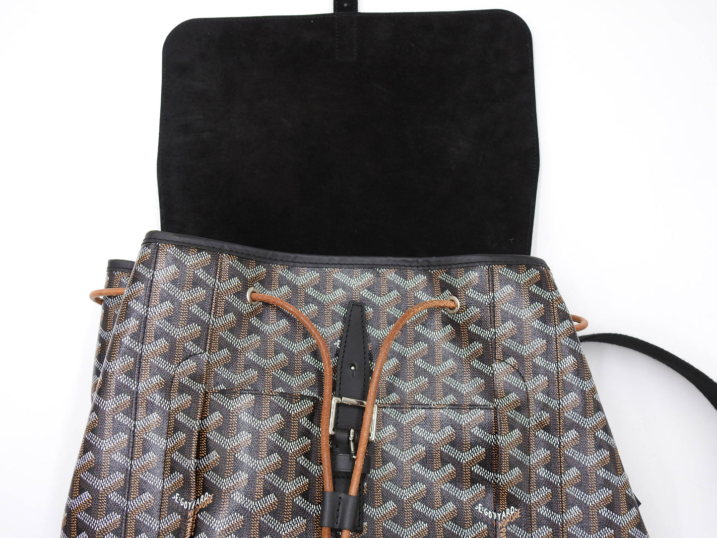GOYARD Goyardine ALPIN Backpack Bag MM PVC Canvas Leather Black