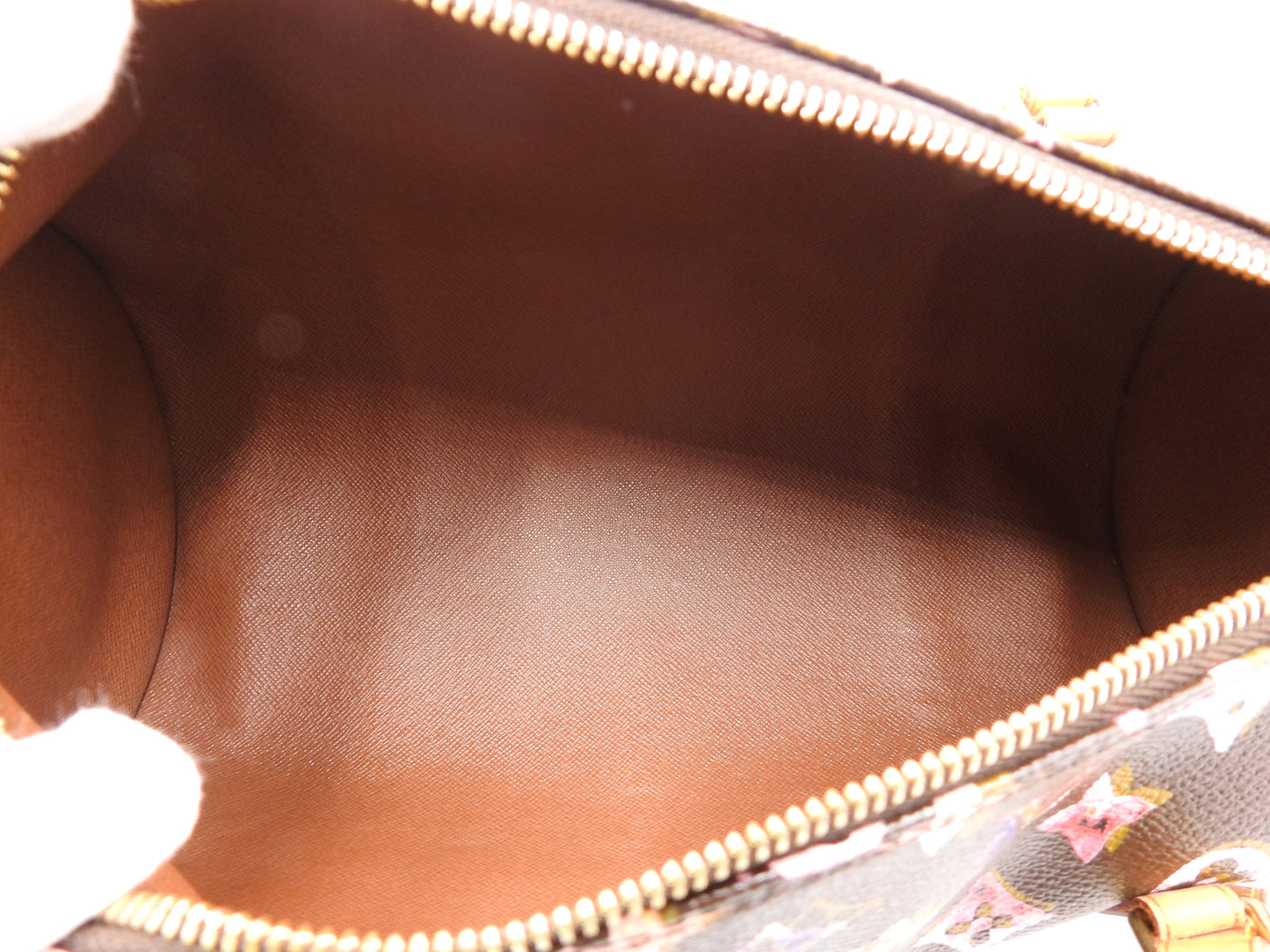 LOUIS VUITTON Papillon 30 Shoulder Hand Bag Monogram Water Color M95753