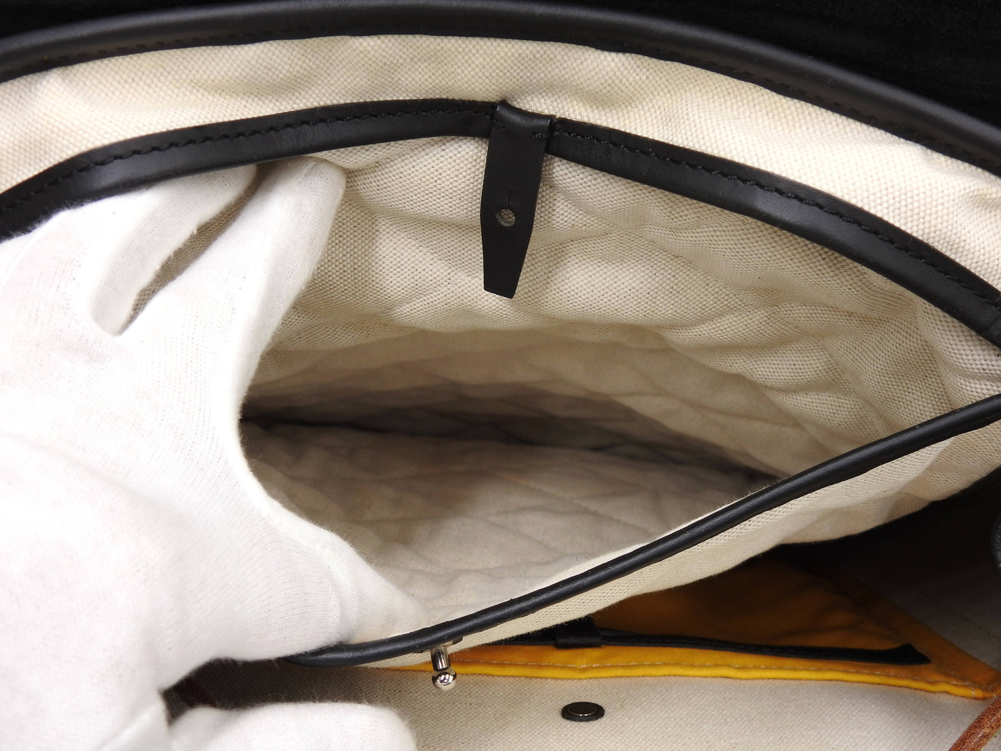 GOYARD Goyardine ALPIN Backpack Bag MM PVC Canvas Leather Black