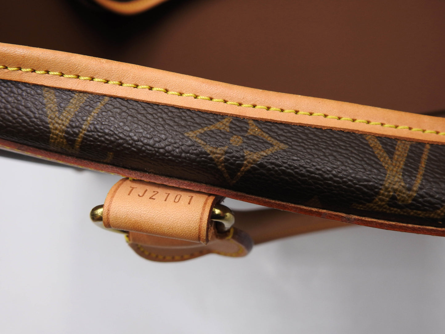 LOUIS VUITTON Monogram Sac Chien 50 Pet Carry Bag Hand Bag Gold M42021