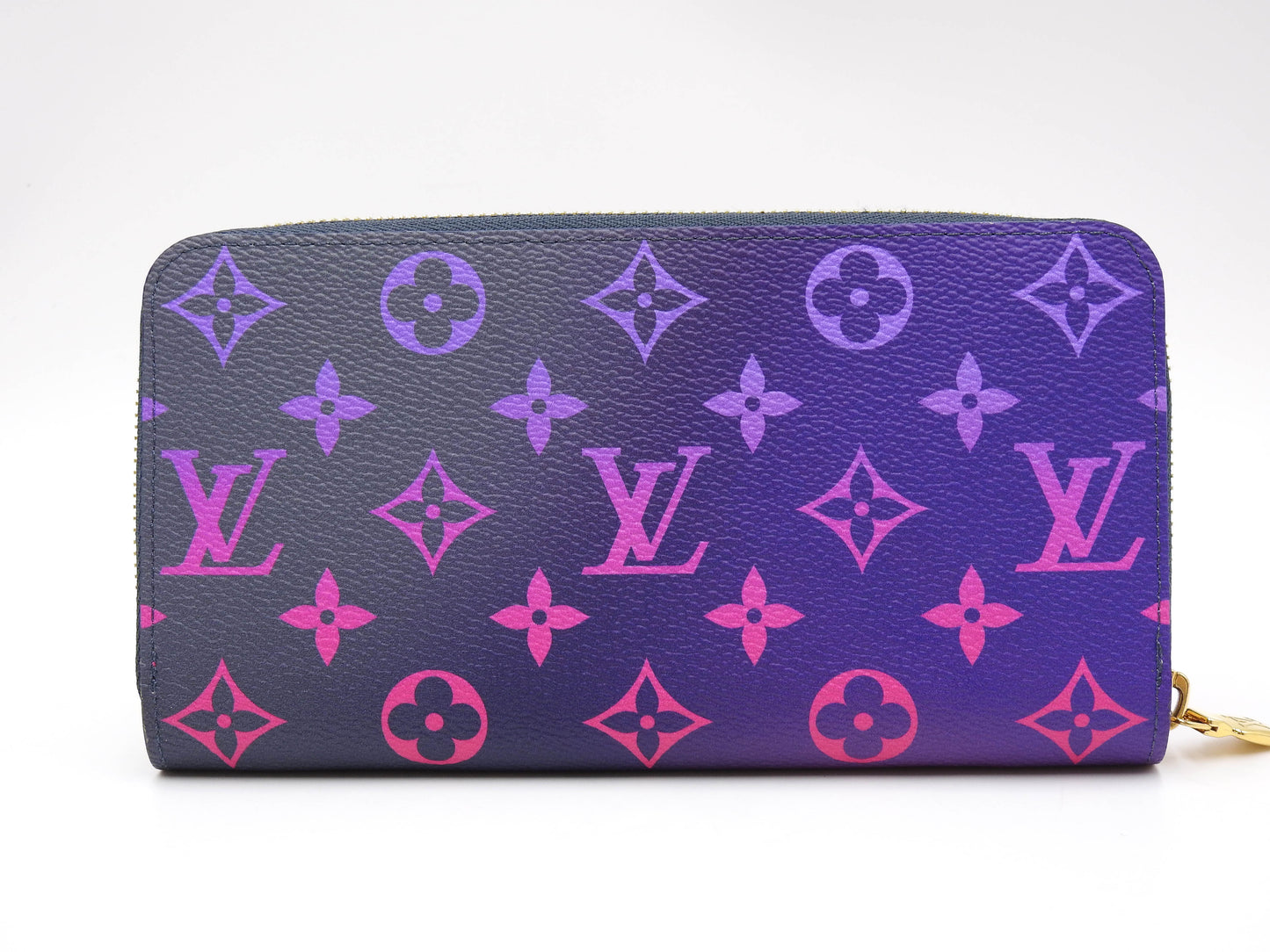 LOUIS VUITTON Spring In the City Zippy Wallet Zip Long Wallet M81349