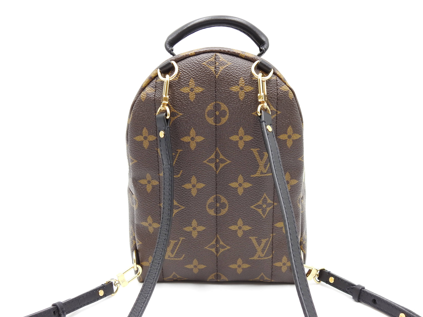 LOUIS VUITTON Love Lock Monogram Palm Springs Backpack Bag Mini M44367