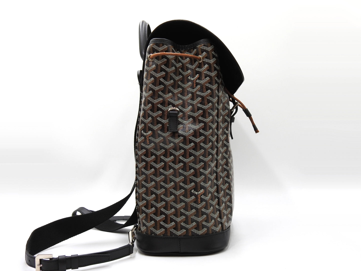 GOYARD Goyardine ALPIN Backpack Bag MM PVC Canvas Leather Black