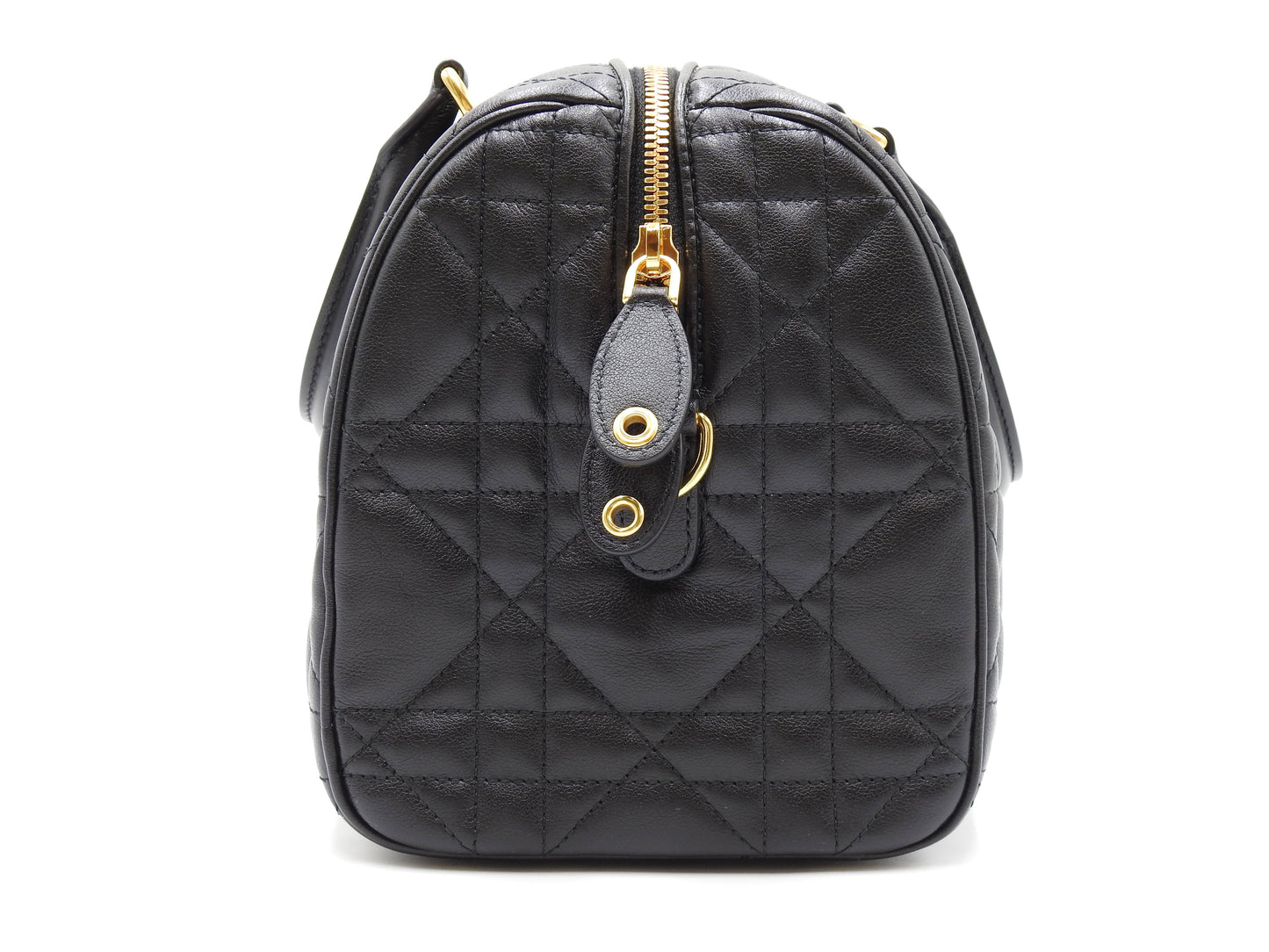 Christian Dior Canage Grove 25 Shoulder Hand Bag Lambskin Black M1365UBOL