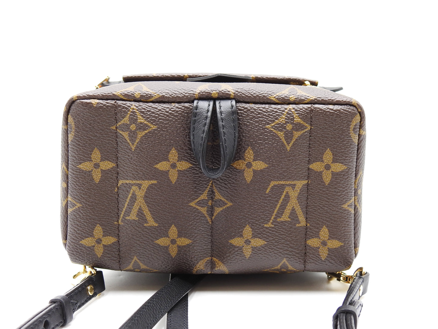LOUIS VUITTON Love Lock Monogram Palm Springs Backpack Bag Mini M44367