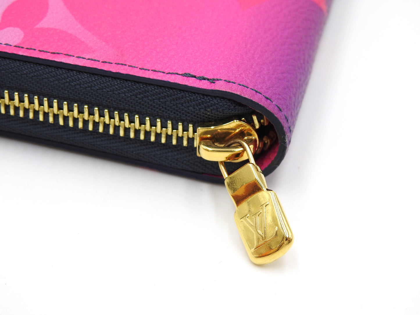 LOUIS VUITTON Spring In the City Zippy Wallet Zip Long Wallet M81349